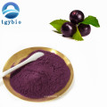 Bester Preis Acai Berry Extrakt Maqui Berry Pulver